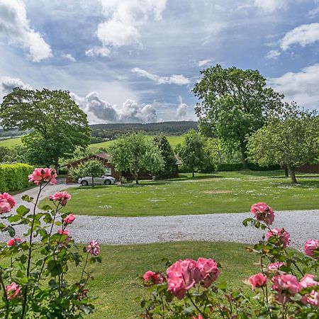 Laburnum Lodge Sleeps 6 Wheelchair Access マインヘッド エクステリア 写真