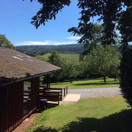 Laburnum Lodge Sleeps 6 Wheelchair Access マインヘッド エクステリア 写真